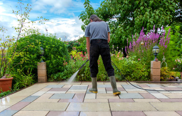 Best Animal Enclosure Cleaning  in Brooksi, DE